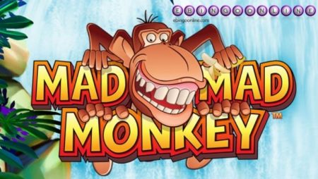 Aprende a jugar la Slot Mad Mad Monkey